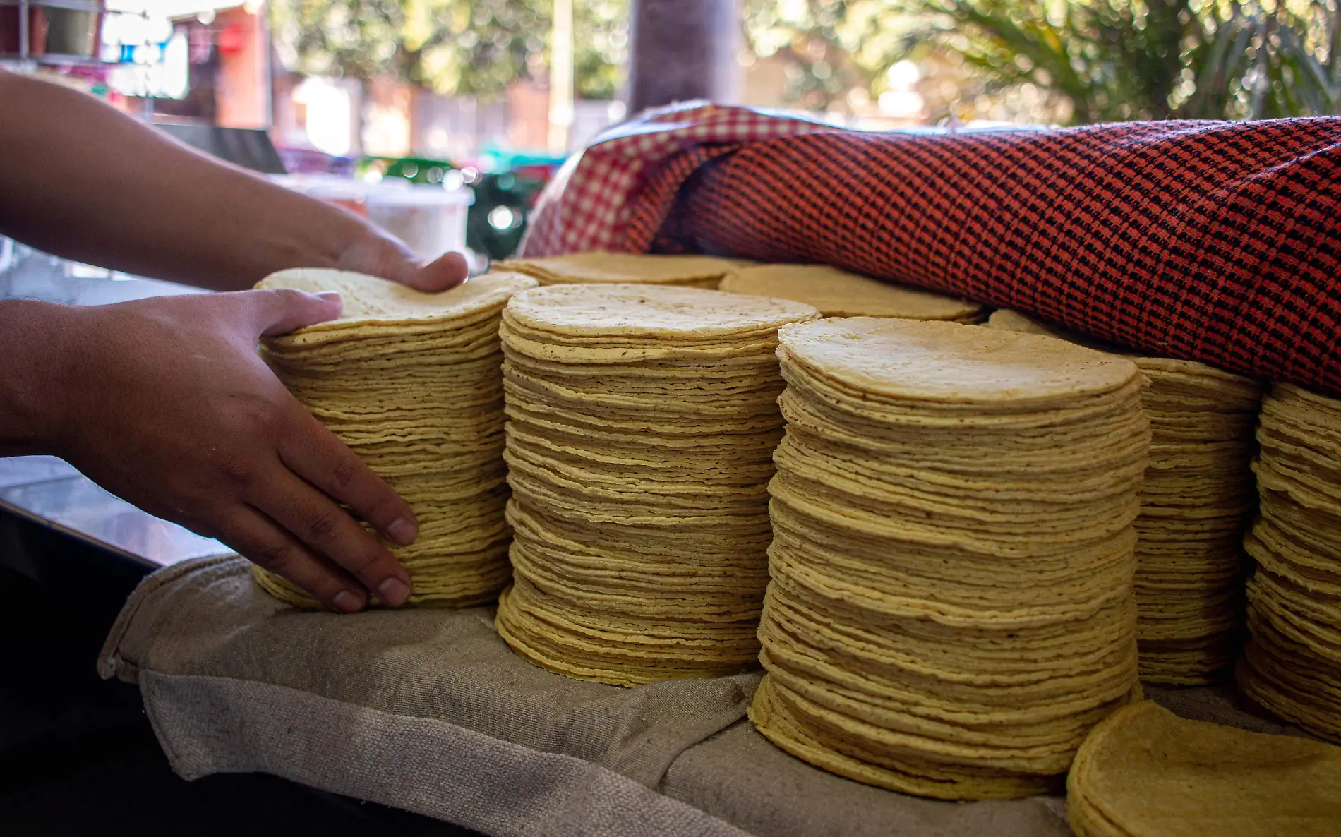 La falta de ma_z, aumento en los insumos para la elaboraci_n de la tortilla podr_a provocar